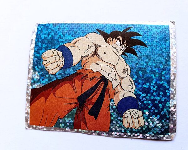 Dragon Ball Z1 Reedición (Salo