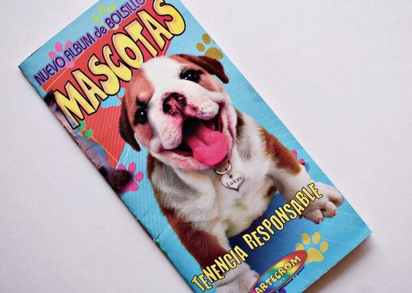 Mascotas