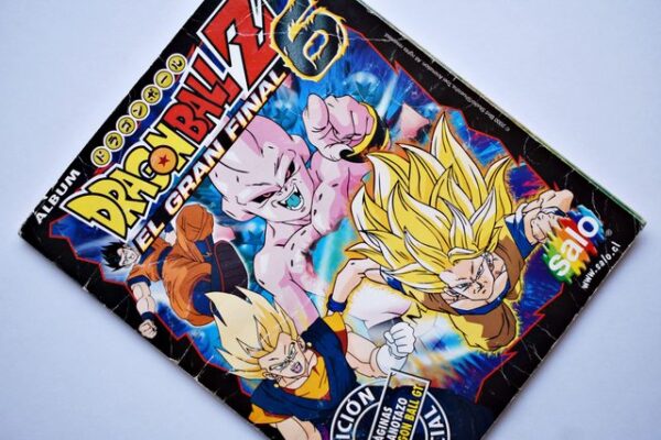 Dragon Ball Z6: Álbum Completo (Con todas sus láminas pegadas) (2000, Salo)