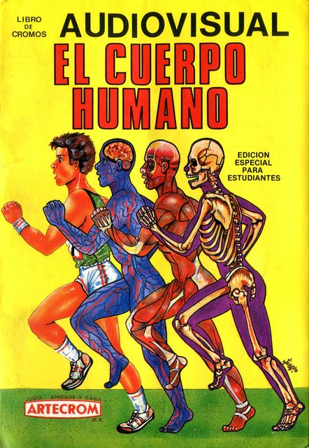 The Human Body (Last Broken Leaf) (Artecrom, 1980): Premium Category