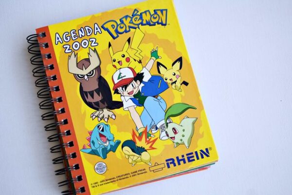 Pokémon, Agenda (Amarilla): Álbum Completo (Con todas sus láminas pegadas) (2002, Salo)