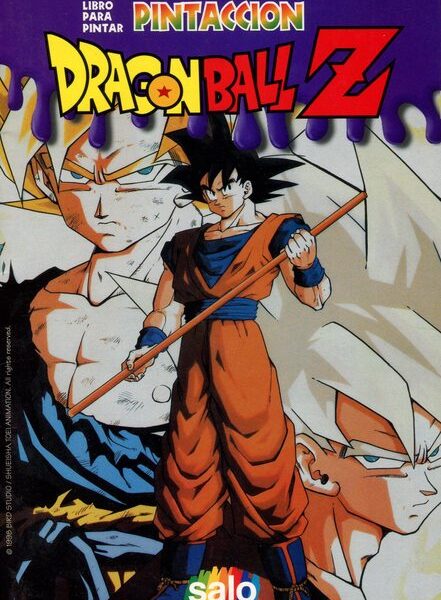 Dragon Ball Z Pintaccion 2