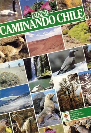 Walking Chile (Guides and Scouts of Chile, 1984): Premium Category