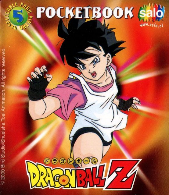 Dragon Ball Z6, PocketBook (Salo, 2000): Premium Category
