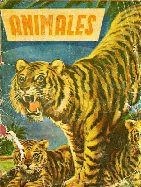 Una Extraordinaria Colección de Animales (Coda y Cía