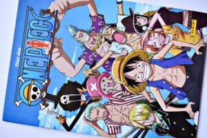 One Piece (Panini, 2021): Álbum Vacío (Sin láminas)
