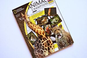 National Geographic Animal Champions: Álbum Completo (Con todas sus láminas pegadas) (2004, Panini)