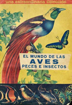 The world of birds (Coda y Cía, 1986): Premium Category
