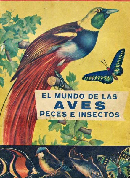 El mundo de las aves (Coda y Cía