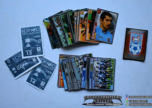 Torneo de Clausura Chile 2008 Especial Play-Offs (Salo