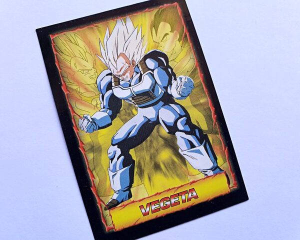 DBZ 6 (Salo