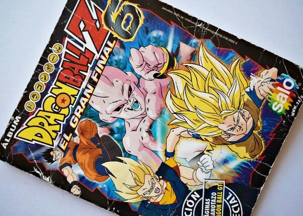 Dragon Ball Z6 (Salo