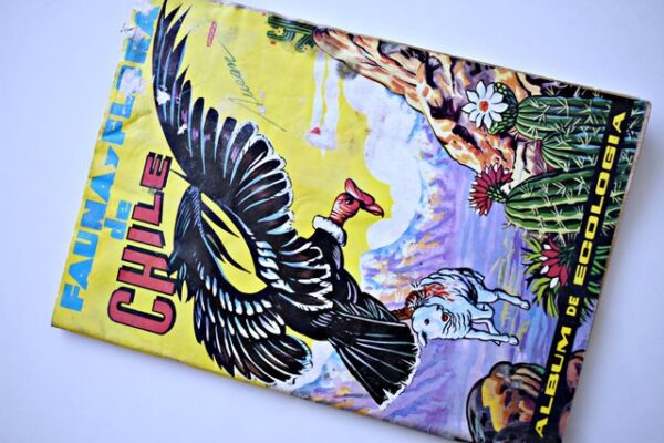 Fauna y Flora de Chile: Tiene 105 Láminas (1982, Artecrom)