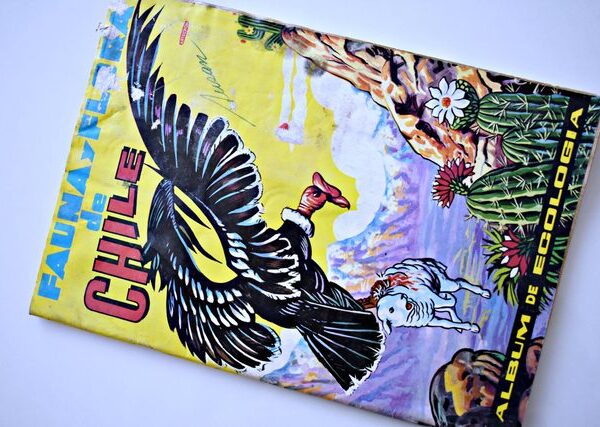 Fauna y Flora de Chile (Artecrom