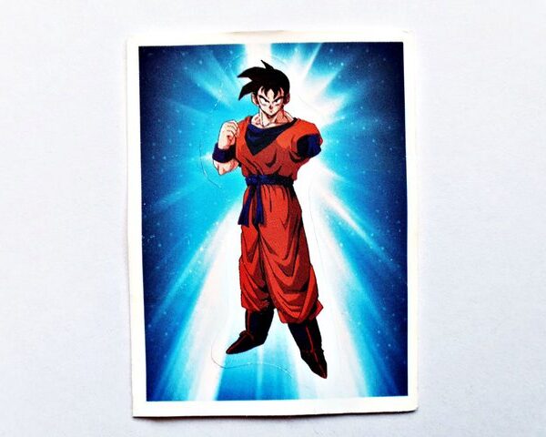 DBZ 3 Re (Salo