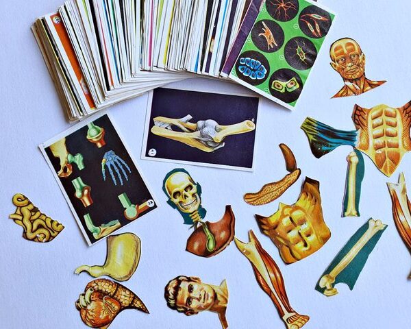 El Cuerpo Humano (Artecrom